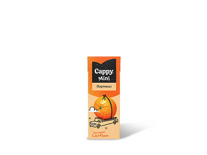 FRUIT JUICE 0.2